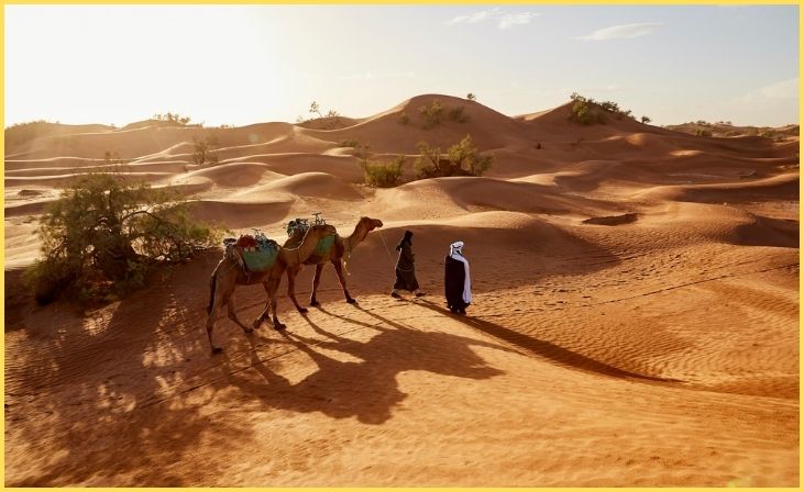 Desert Retreat in Marrakech, Morocco