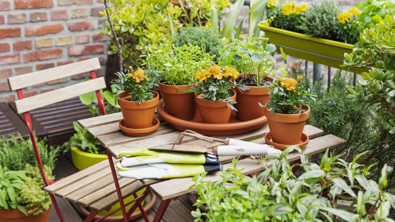 7 Best Small Garden Ideas To Maximise Your Outdoor Space With Style