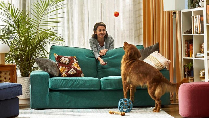 8 Pet-Friendly HomeGoods Finds Worth Buying