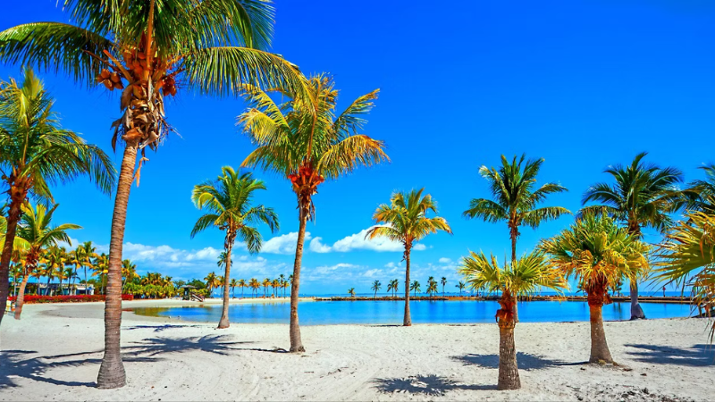 8 Places In Florida That Feel Like The Caribbean