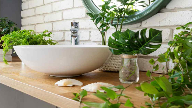 9 Best Houseplants for Your Bathroom