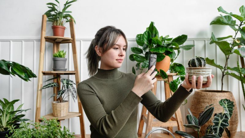 9 Best Office Plants That Need Low-Maintenance Care