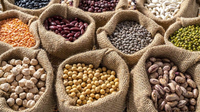 The 7 Healthiest Beans to Eat According to Dietitians