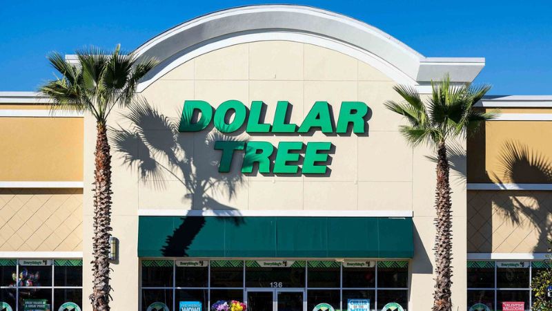 9 Dollar Tree Items To Stock Up On This Summer