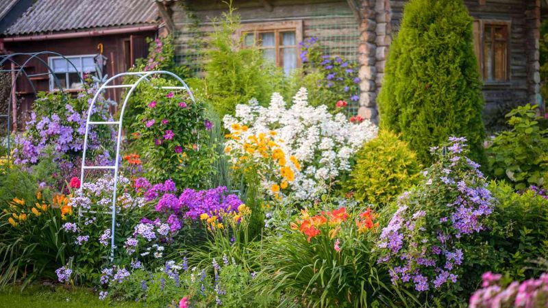 7 Garden Trellis Ideas That Showcase the Beauty of Climbing Plants